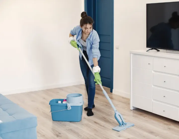 Femme de ménage Saint-Benoît-la-Chipotte